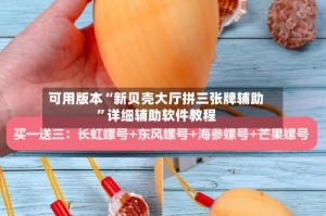 可用版本“新贝壳大厅拼三张牌辅助”详细辅助软件教程