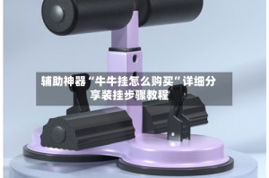 辅助神器“牛牛挂怎么购买”详细分享装挂步骤教程