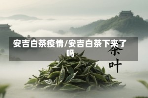 安吉白茶疫情/安吉白茶下来了吗