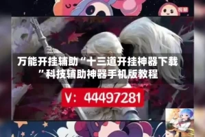 万能开挂辅助“十三道开挂神器下载”科技辅助神器手机版教程
