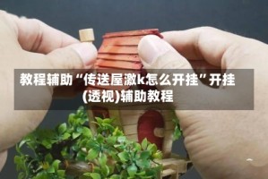 教程辅助“传送屋激k怎么开挂”开挂(透视)辅助教程