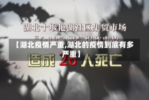【湖北疫情严重,湖北的疫情到底有多严重】