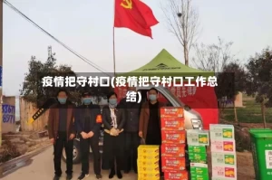疫情把守村口(疫情把守村口工作总结)