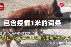 包含疫情1米的词条