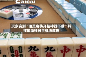 玩家实测“哈灵麻将开挂神器下载”科技辅助神器手机版教程