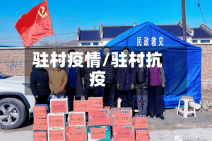 驻村疫情/驻村抗疫