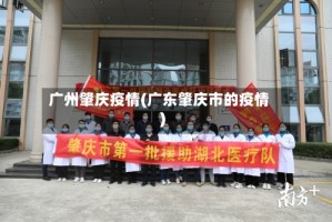 广州肇庆疫情(广东肇庆市的疫情)