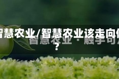 疫情智慧农业/智慧农业该走向何方?