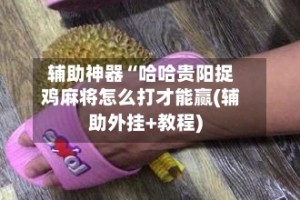 辅助神器“哈哈贵阳捉鸡麻将怎么打才能赢(辅助外挂+教程)