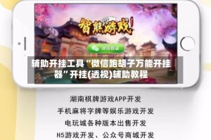 辅助开挂工具“微信跑胡子万能开挂器”开挂(透视)辅助教程