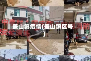 盖山镇疫情(盖山镇区号)