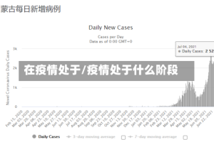 在疫情处于/疫情处于什么阶段
