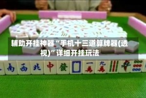 辅助开挂神器“手机十三道算牌器(透视)”详细开挂玩法