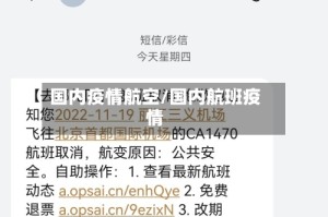 国内疫情航空/国内航班疫情