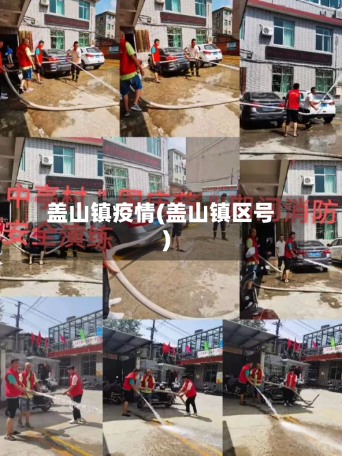 盖山镇疫情(盖山镇区号)-第1张图片