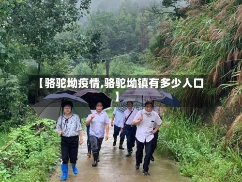 【骆驼坳疫情,骆驼坳镇有多少人口】-第1张图片