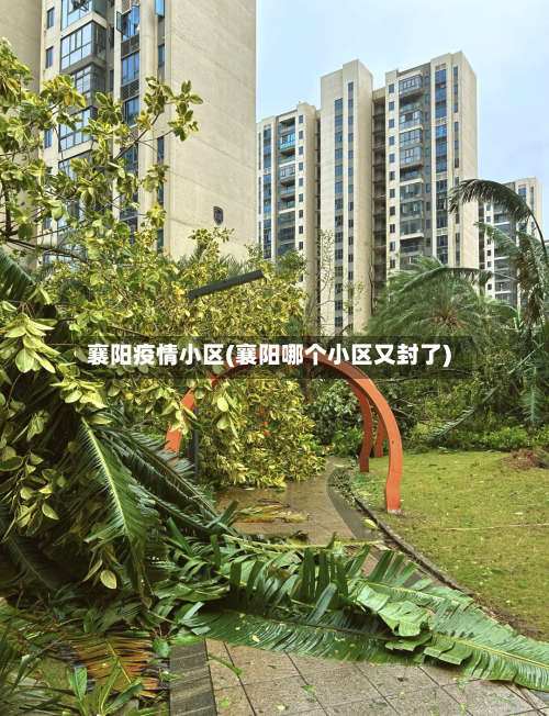 襄阳疫情小区(襄阳哪个小区又封了)-第2张图片