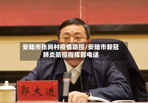 安陆市张岗村疫情防控/安陆市新冠肺炎防控指挥部电话-第3张图片