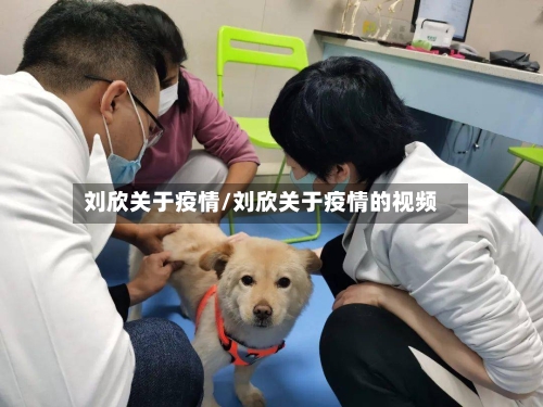 刘欣关于疫情/刘欣关于疫情的视频-第1张图片