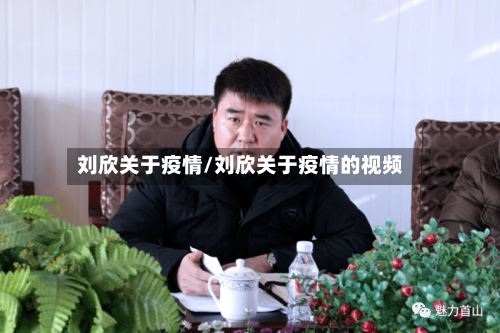 刘欣关于疫情/刘欣关于疫情的视频-第2张图片