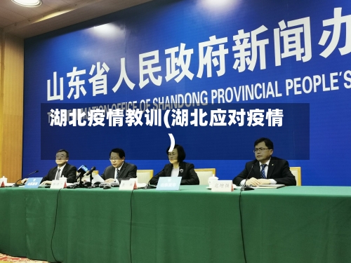 湖北疫情教训(湖北应对疫情)-第2张图片