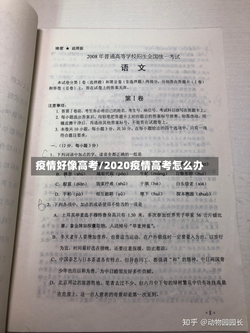 疫情好像高考/2020疫情高考怎么办-第3张图片