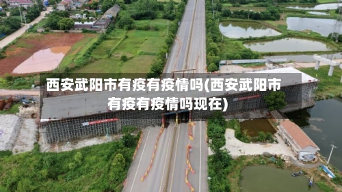 西安武阳市有疫有疫情吗(西安武阳市有疫有疫情吗现在)-第1张图片
