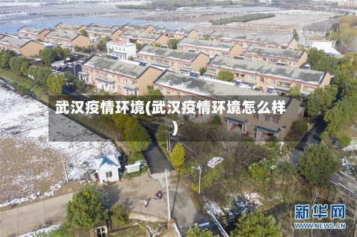 武汉疫情环境(武汉疫情环境怎么样)-第1张图片