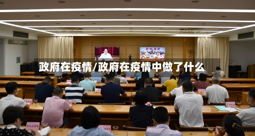 政府在疫情/政府在疫情中做了什么-第3张图片