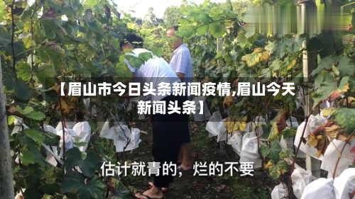 【眉山市今日头条新闻疫情,眉山今天新闻头条】-第3张图片