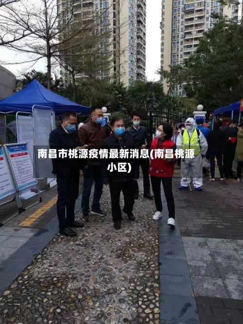 南昌市桃源疫情最新消息(南昌桃源小区)-第3张图片