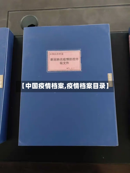 【中国疫情档案,疫情档案目录】-第2张图片