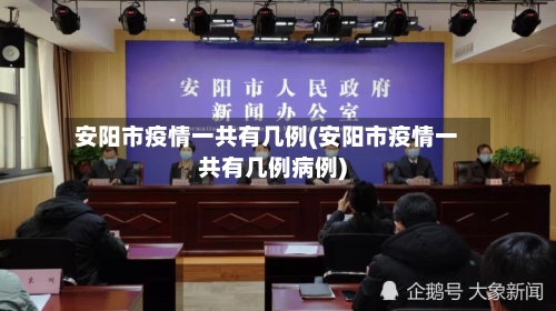 安阳市疫情一共有几例(安阳市疫情一共有几例病例)-第2张图片