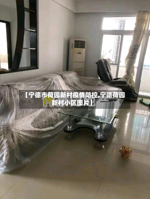 【宁德市荷园新村疫情防控,宁德荷园新村小区图片】-第2张图片