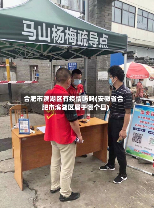 合肥市滨湖区有疫情吗吗(安徽省合肥市滨湖区属于哪个县)-第2张图片