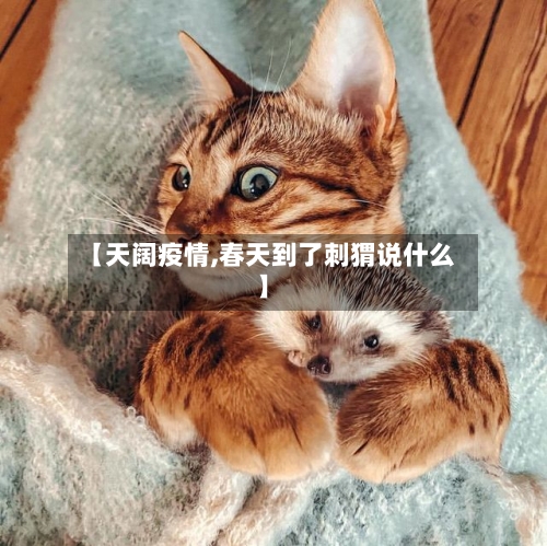 【天阔疫情,春天到了刺猬说什么】-第1张图片