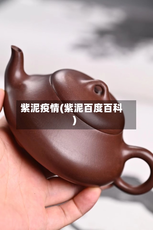 紫泥疫情(紫泥百度百科)-第2张图片