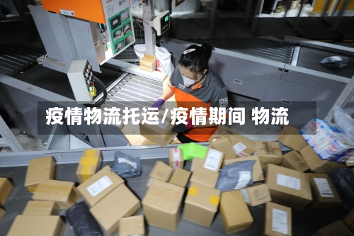 疫情物流托运/疫情期间 物流-第3张图片