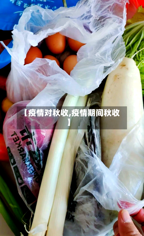 【疫情对秋收,疫情期间秋收】-第1张图片