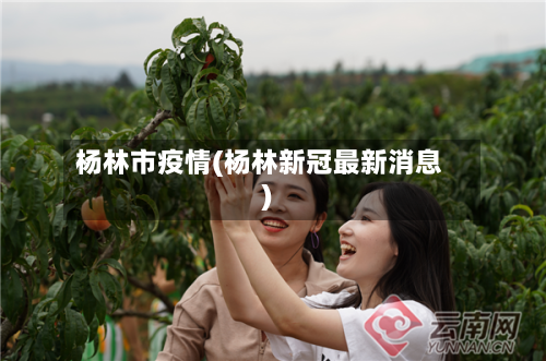 杨林市疫情(杨林新冠最新消息)-第1张图片