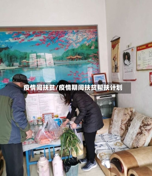 疫情间扶贫/疫情期间扶贫帮扶计划-第1张图片