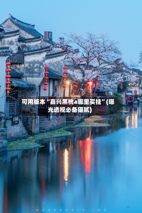 可用版本“嘉兴黑桃a哪里买挂”(曝光透视必备猫腻)-第1张图片