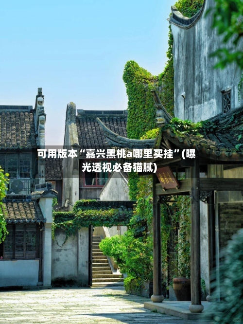 可用版本“嘉兴黑桃a哪里买挂	”(曝光透视必备猫腻)-第2张图片