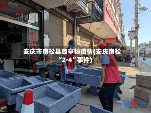 安庆市宿松县凉亭镇疫情(安庆宿松“2·4”事件)-第2张图片