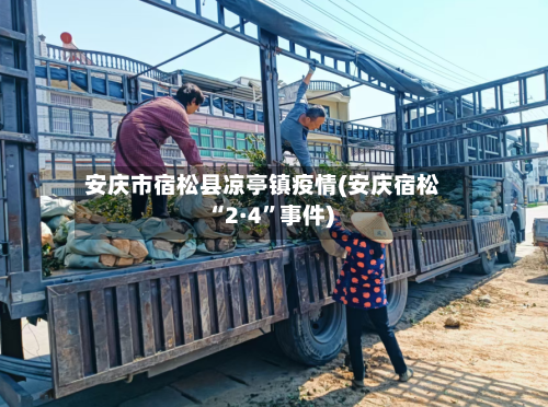 安庆市宿松县凉亭镇疫情(安庆宿松“2·4	”事件)-第1张图片