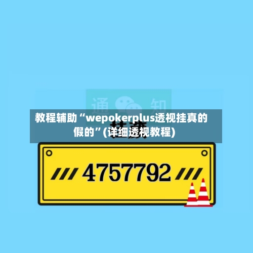 教程辅助“wepokerplus透视挂真的假的”(详细透视教程)-第3张图片