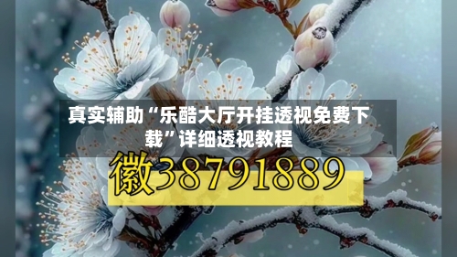 真实辅助“乐酷大厅开挂透视免费下载	”详细透视教程-第2张图片