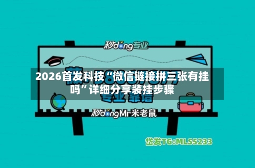 2026首发科技“微信链接拼三张有挂吗	”详细分享装挂步骤-第2张图片