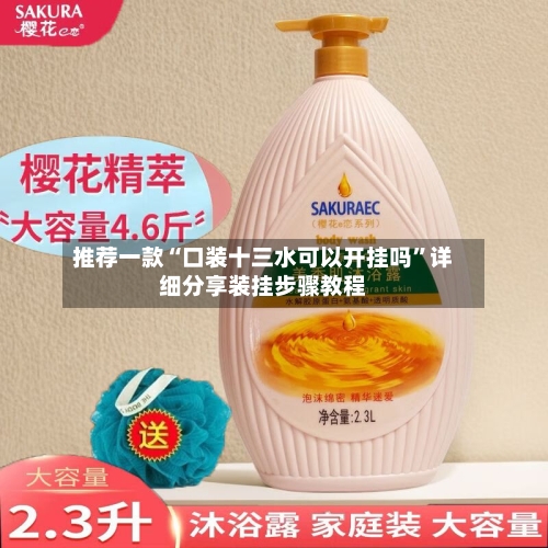 推荐一款“口装十三水可以开挂吗”详细分享装挂步骤教程-第3张图片