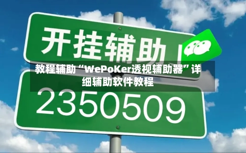 教程辅助“WePoKer透视辅助器”详细辅助软件教程-第3张图片